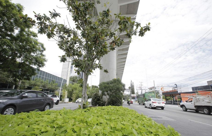 Elijen las 110 propuestas de arte que cubrirán columna de la Línea 3 Jalisco