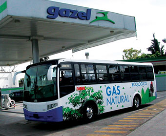 ensenada gas natural