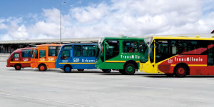 entrevista vivianatobon1