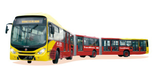 entrevista vivianatobon2