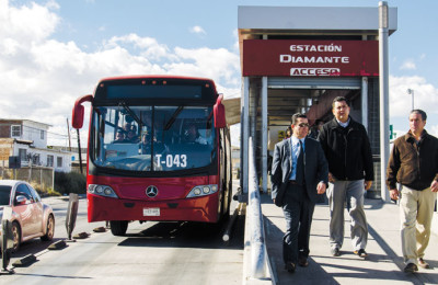VIVEBUS