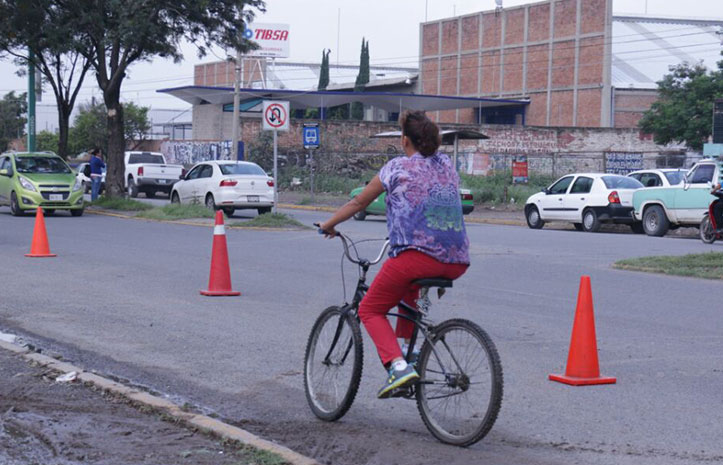 cicloleon