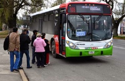 mexibus