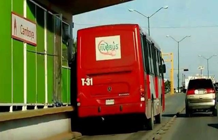 vivebus