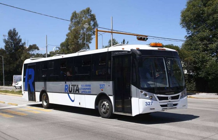 RUTA