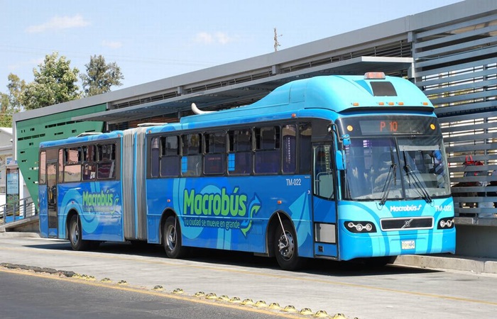 macrobus