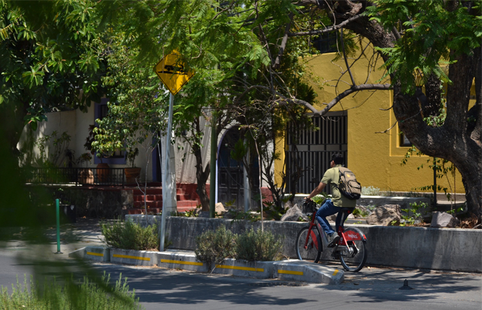 Estudio revela que 6 de cada 10 mexicanos evitará el transporte público