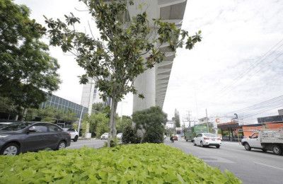 Elijen las 110 propuestas de arte que cubrirán columna de la Línea 3 Jalisco