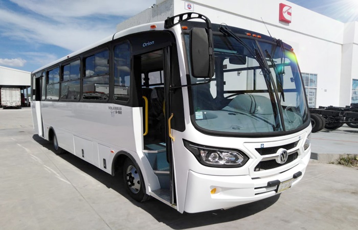 VW buses