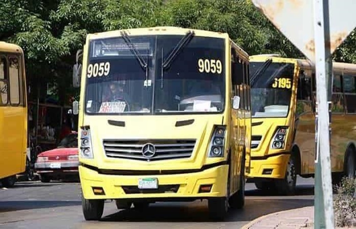 trannsporte público SLP