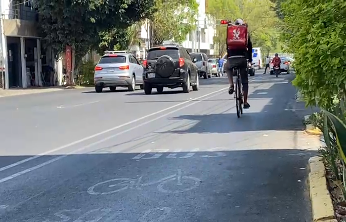 busBici GDL
