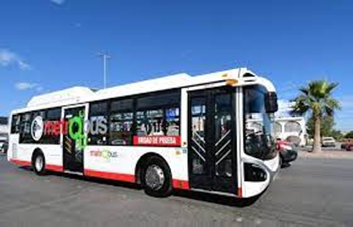 Metrobus Laguna