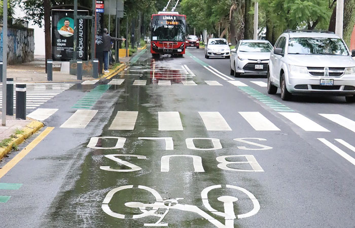 bus bici