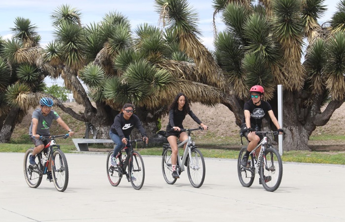 WhatsApp Image 2022-10-05 at 3.34.13 PM