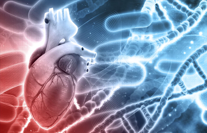 CARDIOVASCULARES