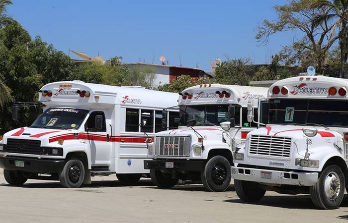 transporte Los Cabos