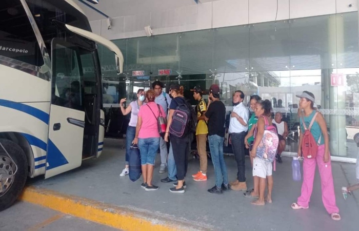 transporte gratuito