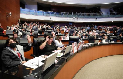 Senado de la república