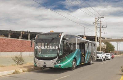Platabus