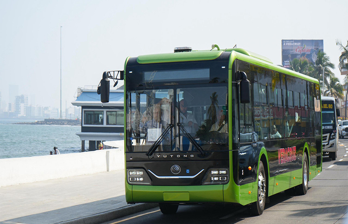 Nuevos buses Veracruz