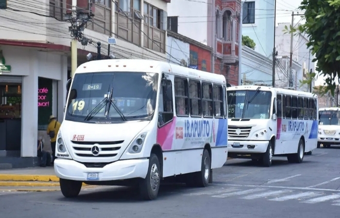 Irapuato transporte