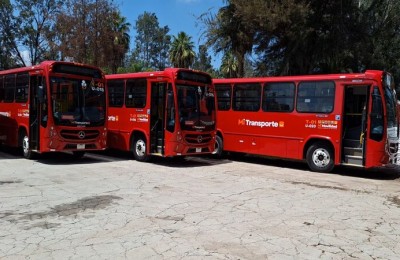 Nuevos buses Lago de Moreno