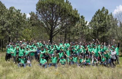 Anpact reforestación 2025