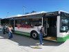 Celaya bus eléctrico