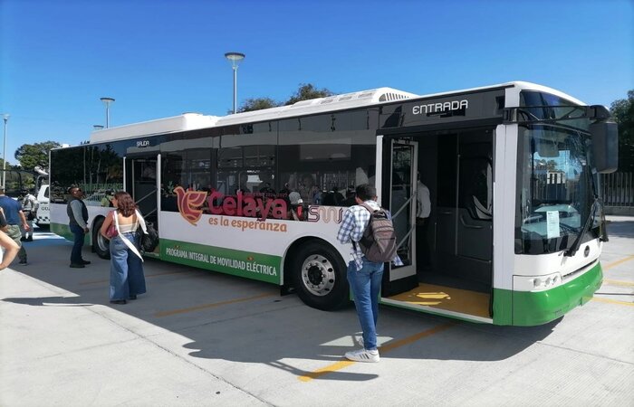 Celaya bus eléctrico