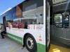 Celaya transporte ok