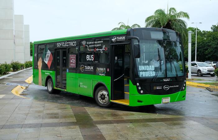 Taruk Chetumal