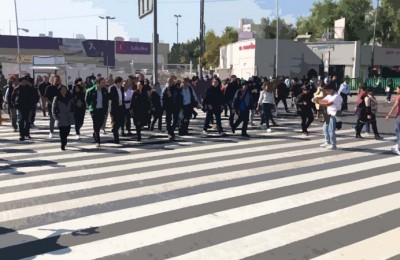 pasos peatonales