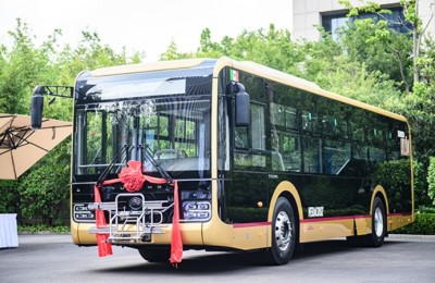 Buses Yutng en Veracruz