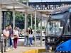 Crecen usuarios de transporte