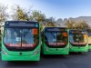 MBA - 50 buses MTY
