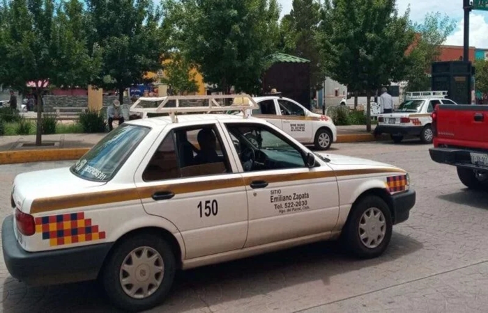 Taxy Chuhuahua