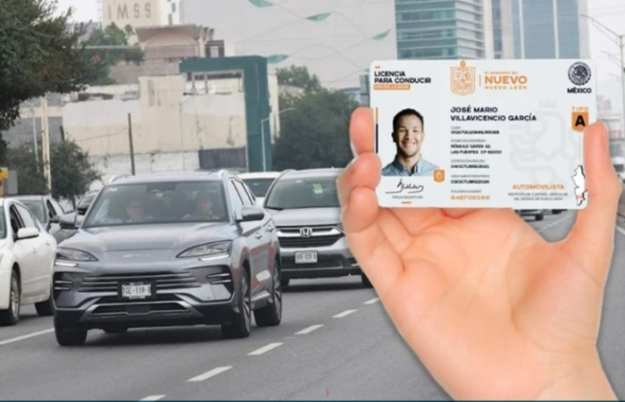 Licencias NL