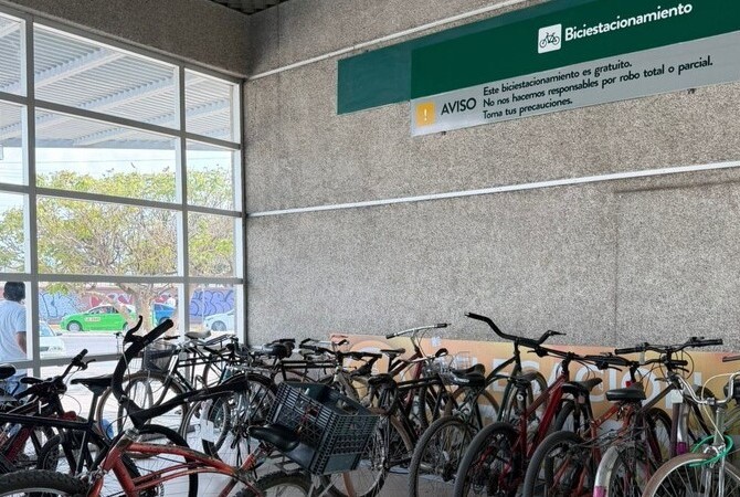 Bicis - transporte - León (1)