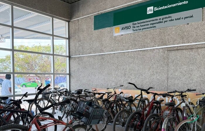 Bicis - transporte - León (1)