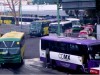 Transporte concecionado CDMX (1)