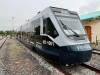 trenes México (1)