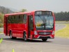 Buses ANPACT (1)