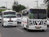 TRansporte Morelos