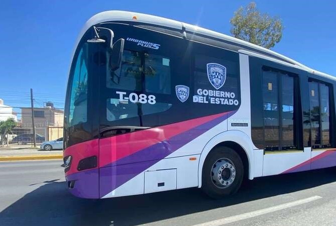 Transporte Chihuahua (1)