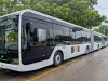 Buses electricos Vallarta