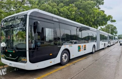 Buses electricos Vallarta