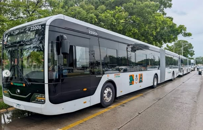 Buses electricos Vallarta