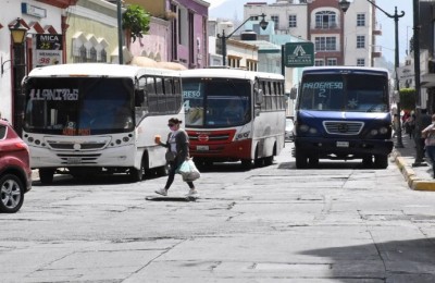 Tepíc transporte
