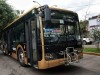 Transporte Xalapa