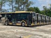 Buses ULUA Veracruz